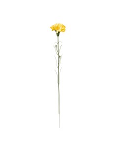 Clavel en tallo para la decoración de verano en escaparates de tiendas o comercios