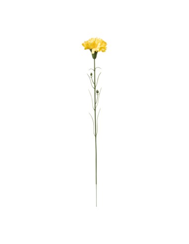 Clavel en tallo para la decoración de verano en escaparates de tiendas o comercios