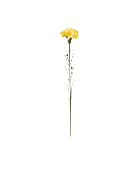Clavel en tallo para la decoración de verano en escaparates de tiendas o comercios