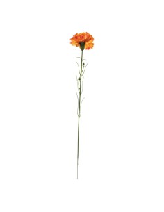 Clavel en tallo para la decoración de verano en escaparates de tiendas o comercios