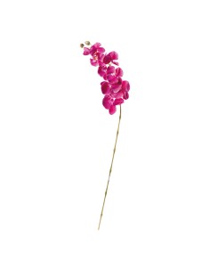 Orquídea en tallo para la decoración de verano en escaparates de tiendas o comercios