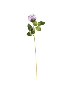 Rosa en tallo para la decoración en del día de los enamorados