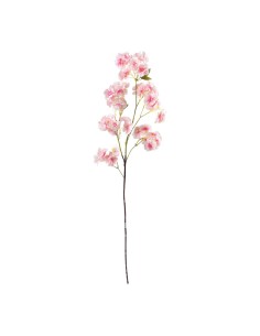 Esterilización de flor de cerezo para la decoración de verano en escaparates de tiendas o comercios