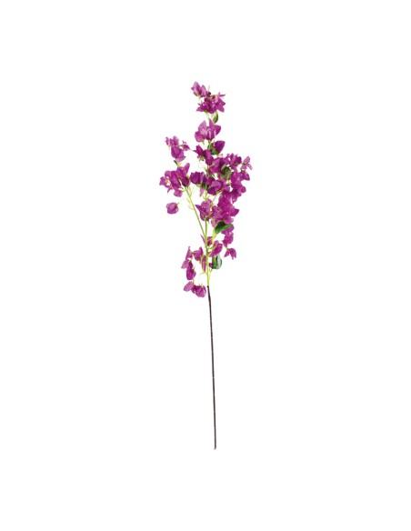Arbusto de buganvillas para la decoración de verano en escaparates de tiendas o comercios