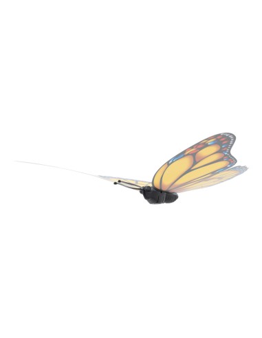Mariposa para la decoración de verano en escaparates de tiendas o comercios