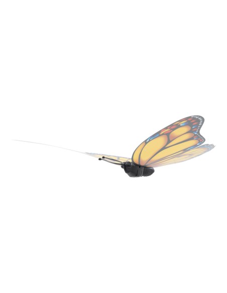 Mariposa para la decoración de verano en escaparates de tiendas o comercios