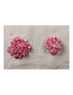 Conchas en red para la decoración de verano en escaparates de tiendas o comercios