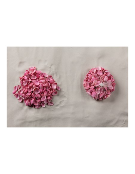 Conchas en red para la decoración de verano en escaparates de tiendas o comercios