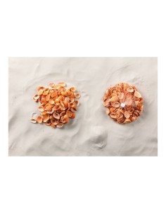 Conchas en red para la decoración de verano en escaparates de tiendas o comercios