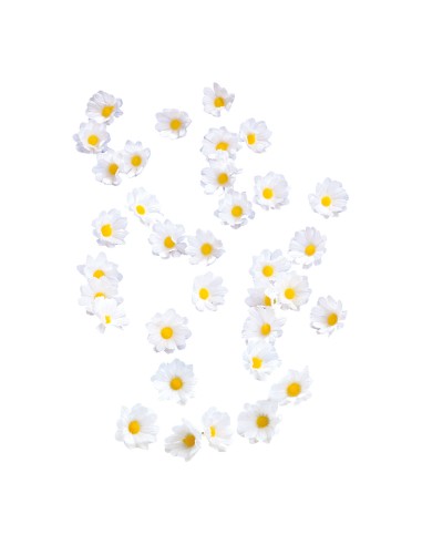 Flores dispersas para la decoración de verano en escaparates de tiendas o comercios