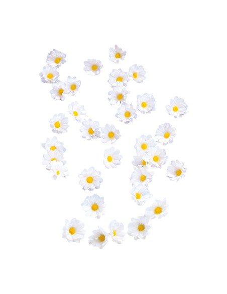 Flores dispersas para la decoración de verano en escaparates de tiendas o comercios