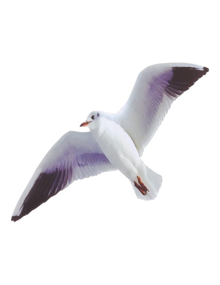 Gaviota voladora para la decoración de verano en escaparates de tiendas o comercios
