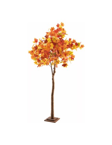 Árbol de arce frondoso con base de madera de colorido otoñal para escaparates de otoño en tiendas y centros comerciales