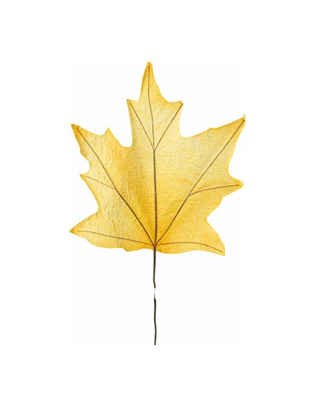 Hoja de arce  para escaparates de otoño en tiendas y centros comerciales