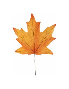 Hoja de arce para escaparates de otoño en tiendas y centros comerciales