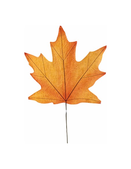 Hoja de arce para escaparates de otoño en tiendas y centros comerciales