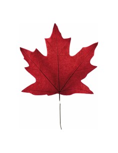 Hoja de arce para escaparates de otoño en tiendas y centros comerciales