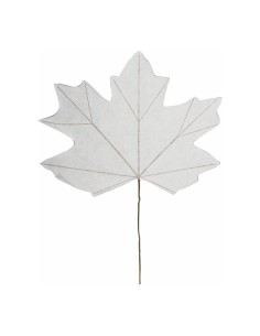 Hoja de arce para escaparates de otoño en tiendas y centros comerciales