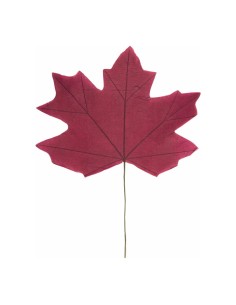 Hoja de arce para escaparates de otoño en tiendas y centros comerciales