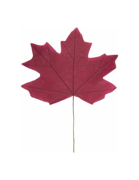 Hoja de arce para escaparates de otoño en tiendas y centros comerciales