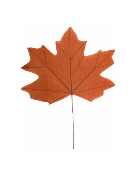 Hoja de arce para escaparates de otoño en tiendas y centros comerciales