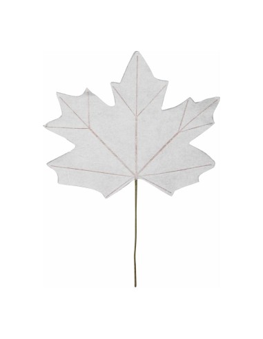 Hoja de arce para escaparates de otoño en tiendas y centros comerciales