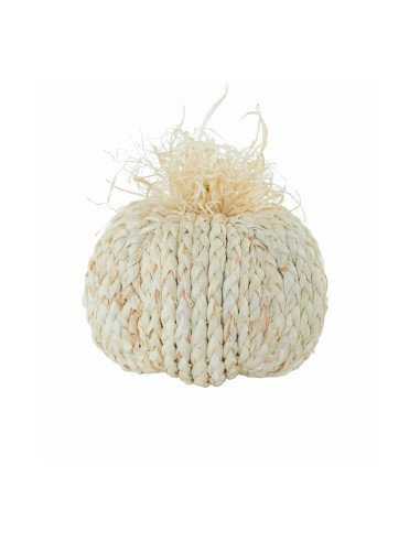 Calabaza para la decoración otoñal de escaparates y espacios