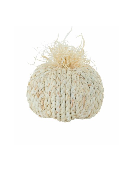 Calabaza para la decoración otoñal de escaparates y espacios