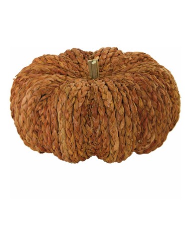 Calabaza para la decoración otoñal de escaparates y espacios