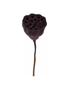 Flor de loto para escaparates de otoño en tiendas y centros comerciales
