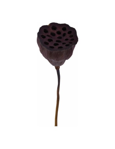 Flor de loto para escaparates de otoño en tiendas y centros comerciales