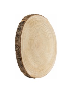 Disco de tronco de árbol para la decoración otoñal de escaparates y espacios