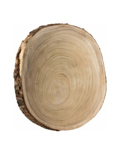 Disco de tronco de árbol para la decoración otoñal de escaparates y espacios
