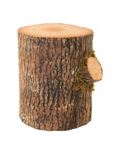 Tronco de árbol de pino para la decoración otoñal de escaparates y espacios