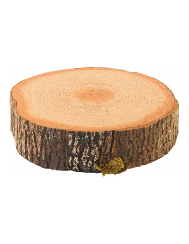 Disco de tronco de árbol para la decoración otoñal de escaparates y espacios