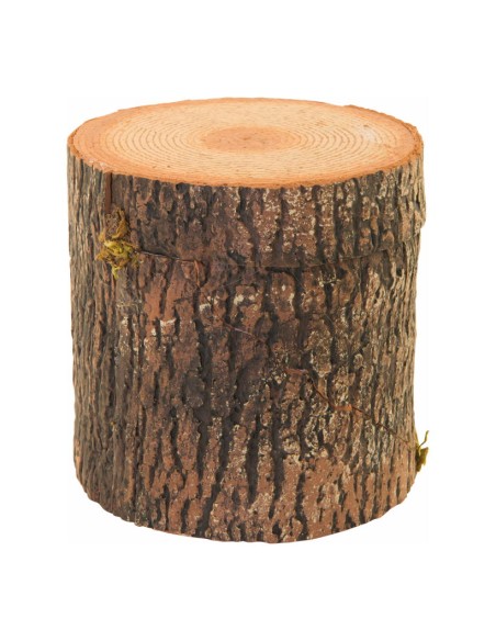 Tronco de árbol de pino para la decoración otoñal de escaparates y espacios