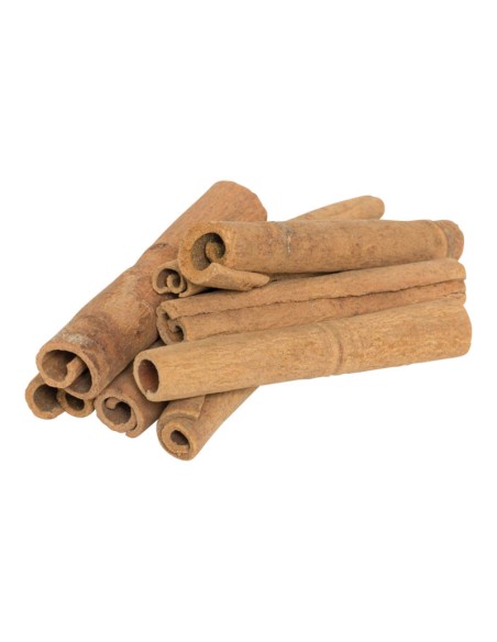 Ramas de canela para la decoración otoñal de escaparates y espacios