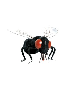 Mosca para la decorar en otoño los escaparates o espacios