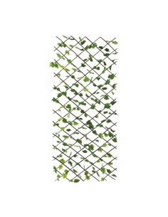 Valla de hojas de parra para la decoración de la vendimia en licorerías catas bodegas de vino