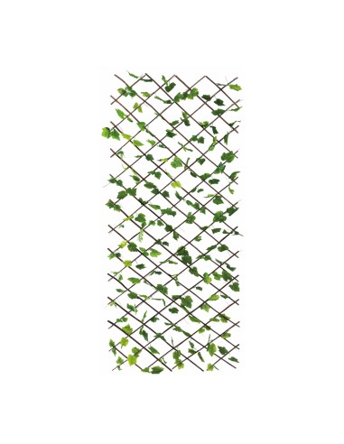 Valla de hojas de parra para la decoración de la vendimia en licorerías catas bodegas de vino