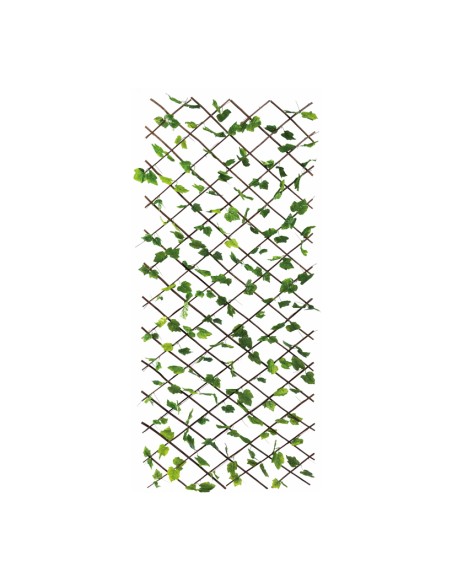 Valla de hojas de parra para la decoración de la vendimia en licorerías catas bodegas de vino