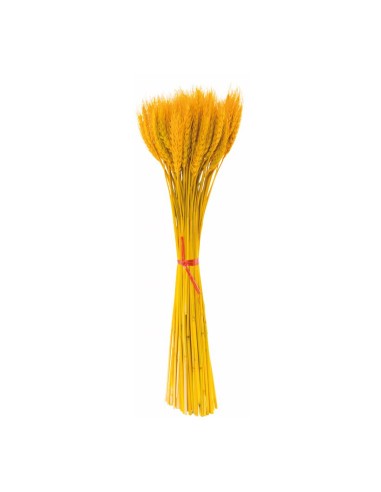 Paquete de ramas de trigo para la decoración de fiestas populares y escaparates