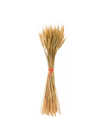 Paquete de ramas de trigo para la decoración de fiestas populares y escaparates