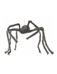 Araña para Halloween en escaparates de tiendas