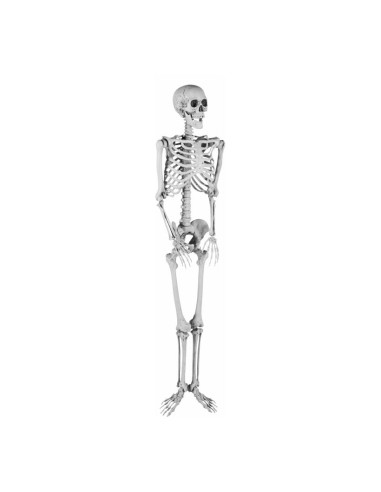 Esqueleto para la fiesta de Halloween