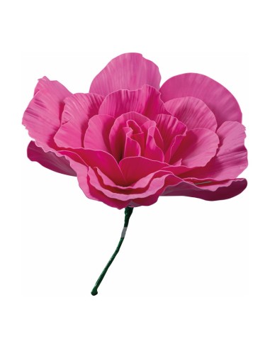Rosa peonía para la decoración del día de los enamorados en centros comerciales tiendas