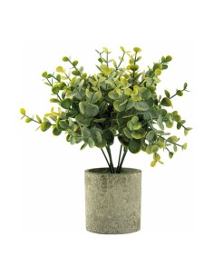 Eucalipto en macetero para decorar con plantas y árboles artificiales en escaparates