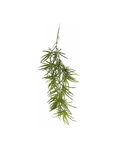 Planta de aralia colgante para decorar con plantas y árboles artificiales en escaparates