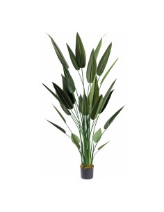 Planta Ave del paraíso con macetero para decorar con plantas y árboles artificiales en escaparates