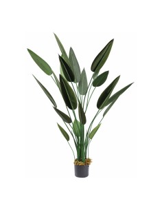 Planta Ave del paraíso con macetero para decorar con plantas y árboles artificiales en escaparates